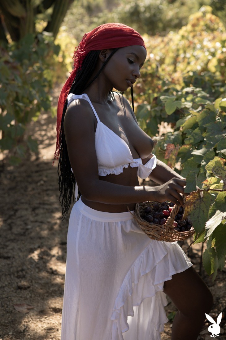Curated Natural Beautiful Softcore. The Undeniable Beauty of Softcore Erotica.