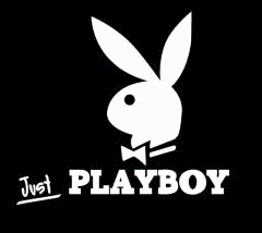 playmates plus playboy tease playmates plus playboy tease